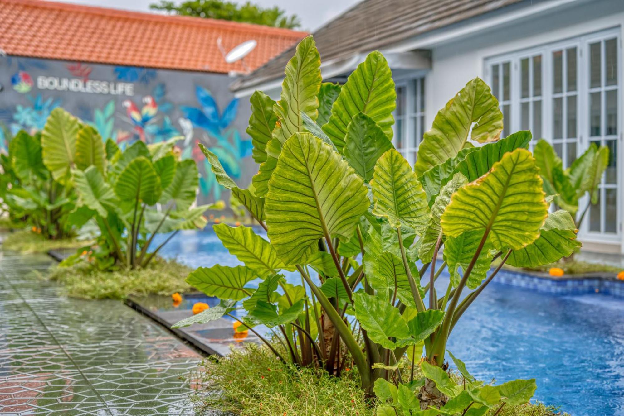 2 Bed Modern With Big Pool